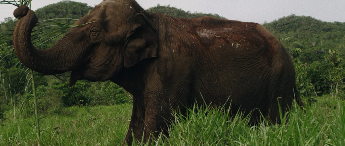 ‘Cativeiro’ propõe reflexão | Acesso Cultural