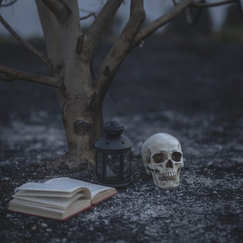 3 dicas de títulos para começar a ler terror nacional