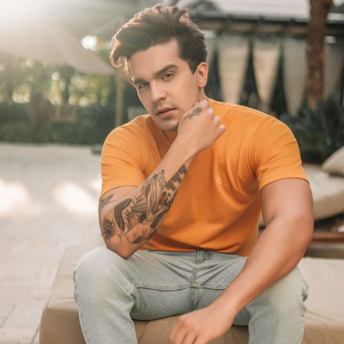 Luan Santana e Fernando & Sorocaba anunciam live