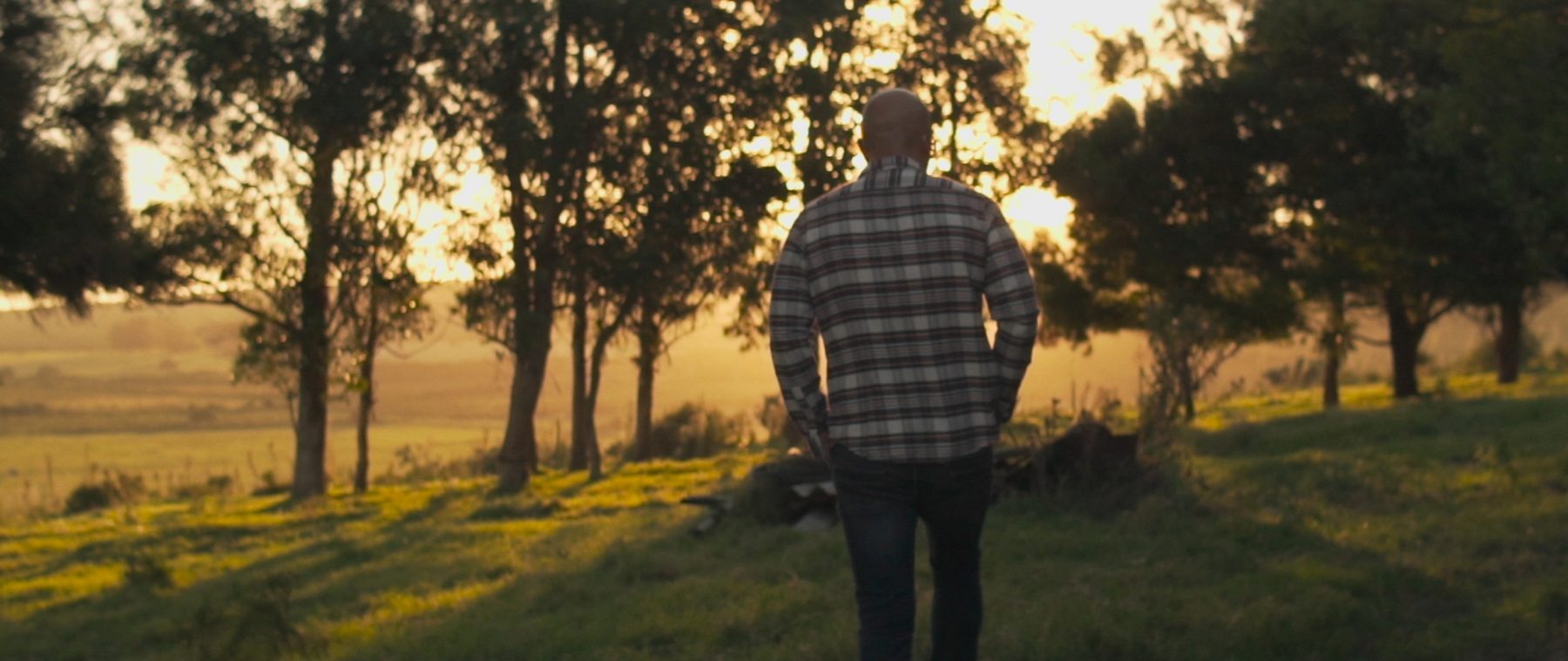 Crédito: divulgação